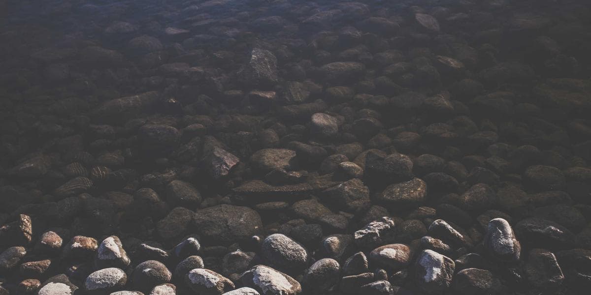 Le Petit Prince & Philosophie